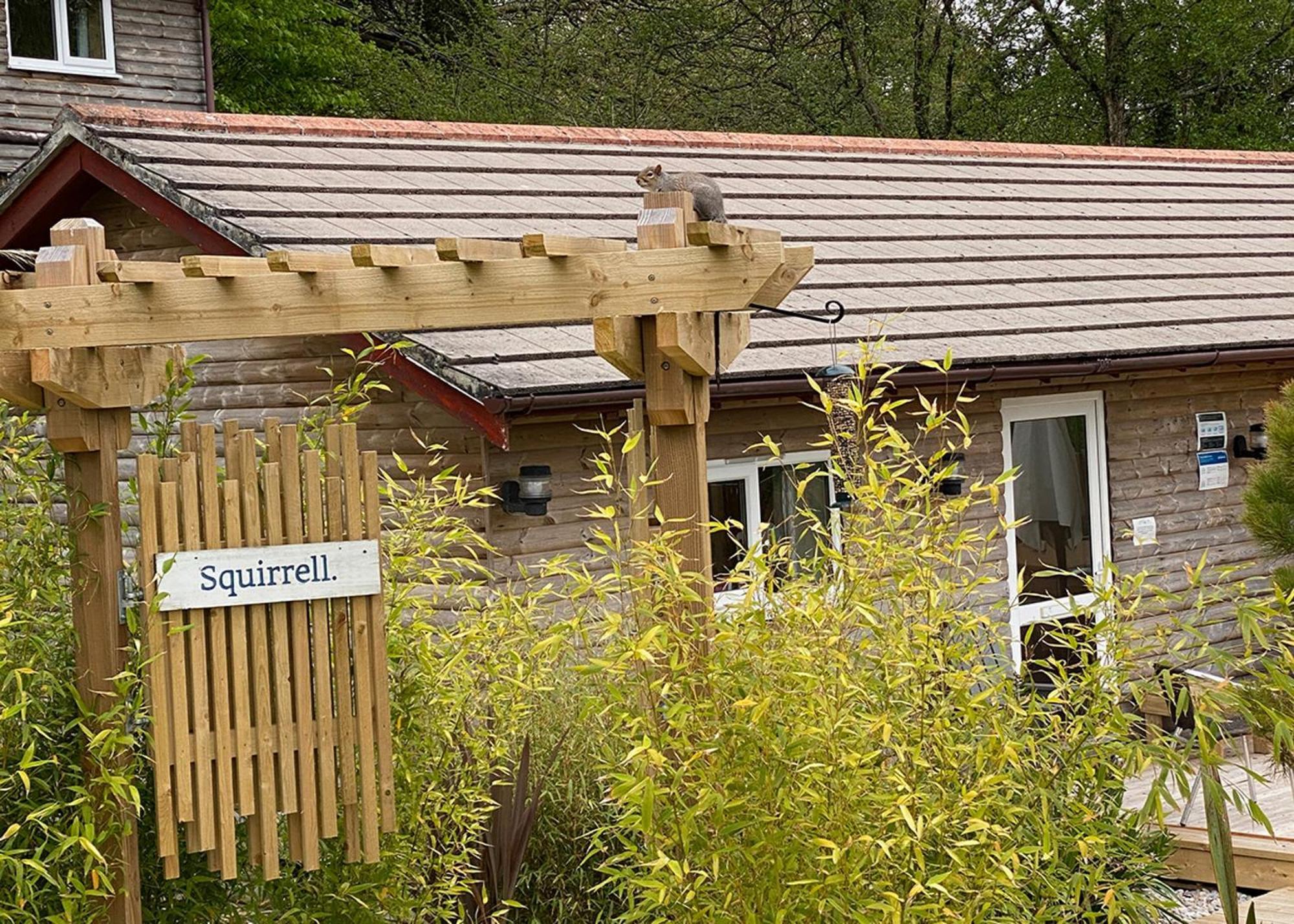 Ivyleaf Combe Lodges Stratton  Exterior foto